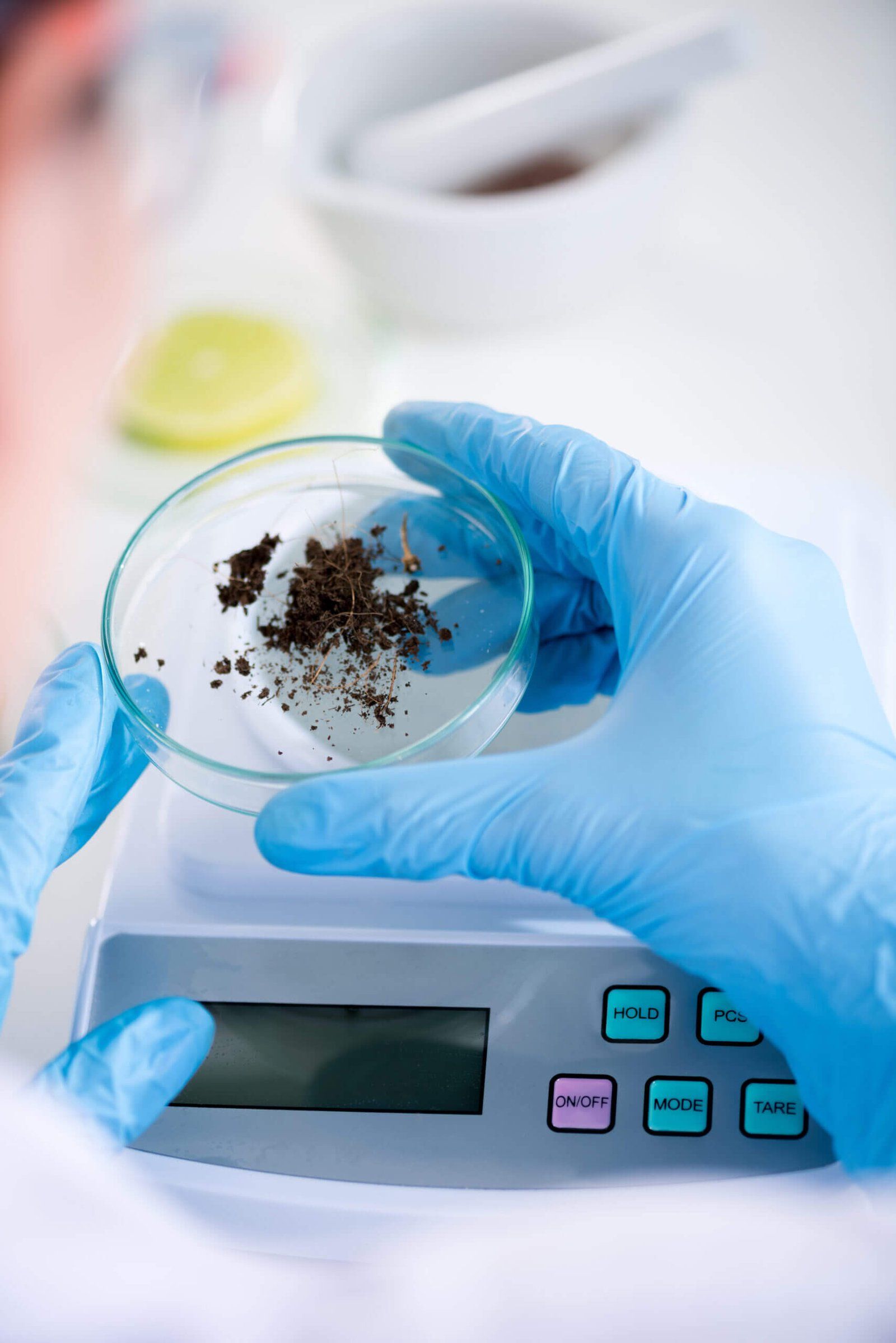 Analysis of a sample in the laboratory