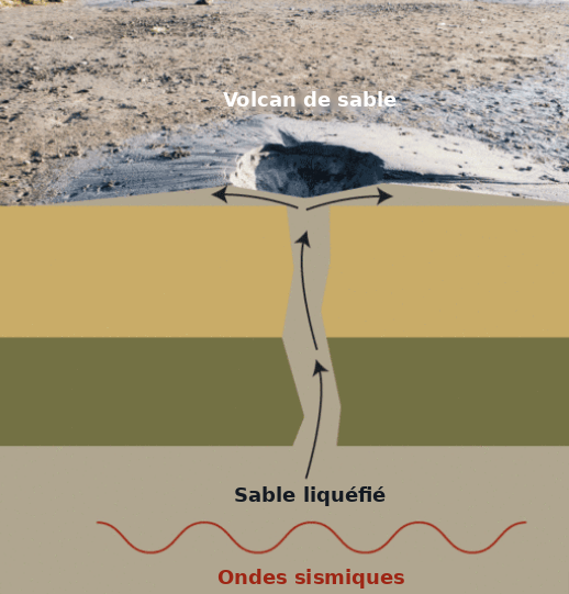 Schéma de la liquéfaction du sol : sous l’effet des ondes sismiques, le sable liquéfié remonte et forme un volcan de sable en surface